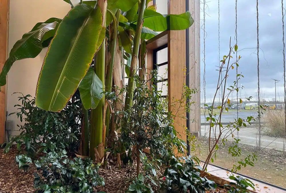 salles de reunion en plein nature terrabundo proximite lille