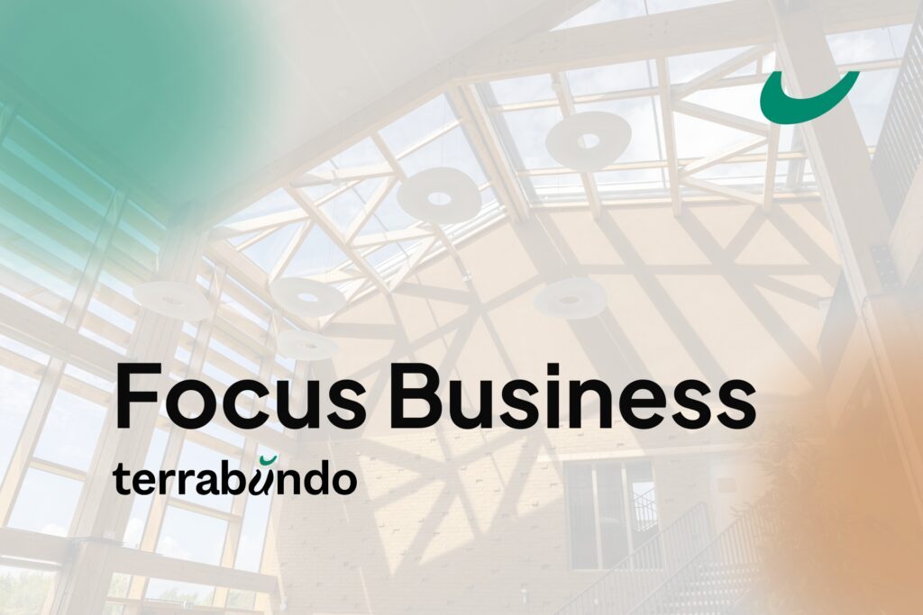 focus business terrabundo