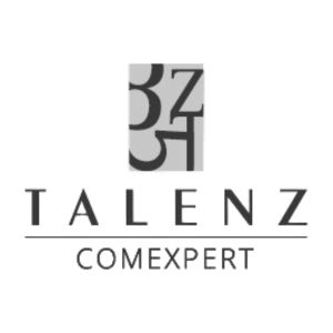 logo talenz comexpert terrabundo